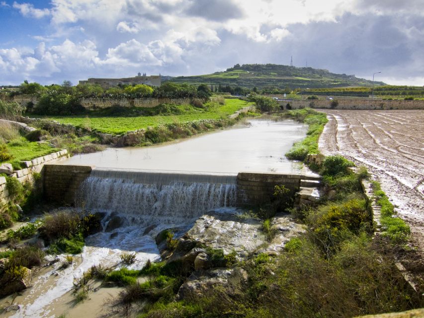 Nature Highlights Private Walking Tour with Transport - Binġemma Escarpments: garigue shrubs, wild orchids, and cave-tomb awe
