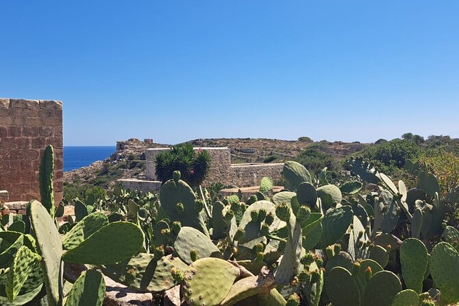 North Malta Quad Bike Tour with Land or Sea Views and Swimming - Popeye Village Area Pier and Filmset Views: Where the Sea Shows Up Twice