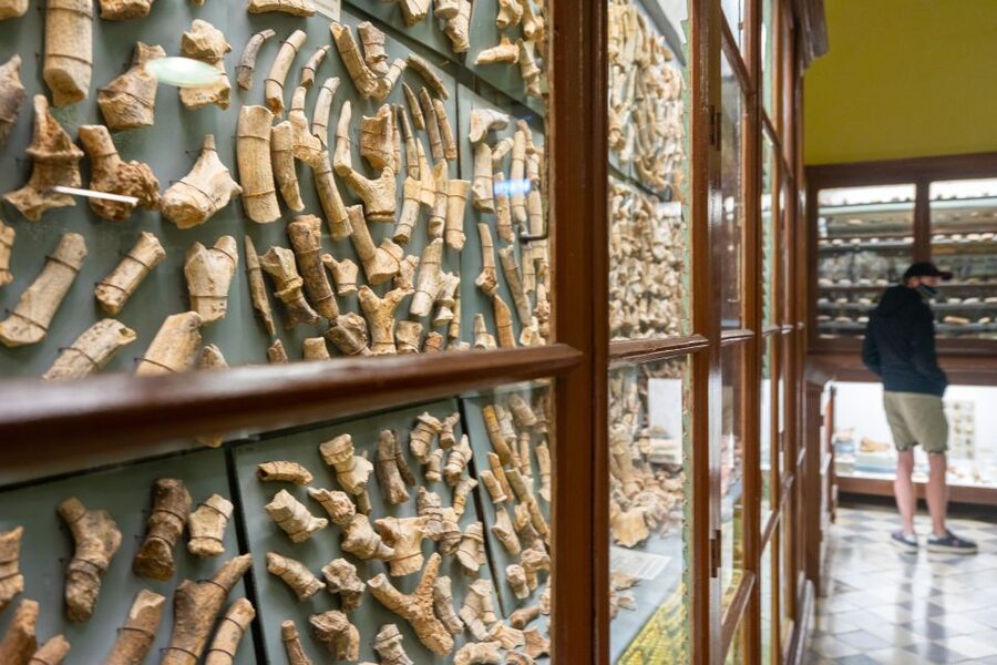Prehistoric Temples of Malta Tour - What This Tour Really Gives You (It’s More Than Temples)