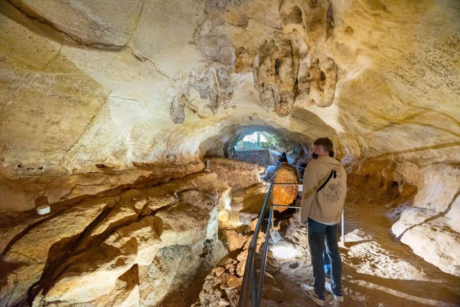 Prehistoric Temples of Malta Tour - Pickup Timing and Getting to the South Coast Smoothly