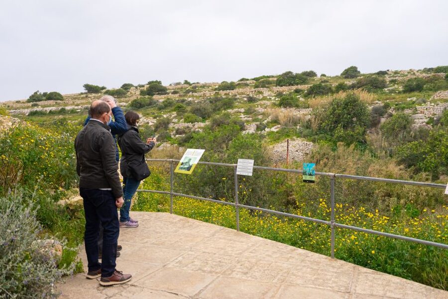 Prehistoric Temples of Malta Tour - Hagar Qim Temples: The Ridge, the Limestone, and the Feeling of Age