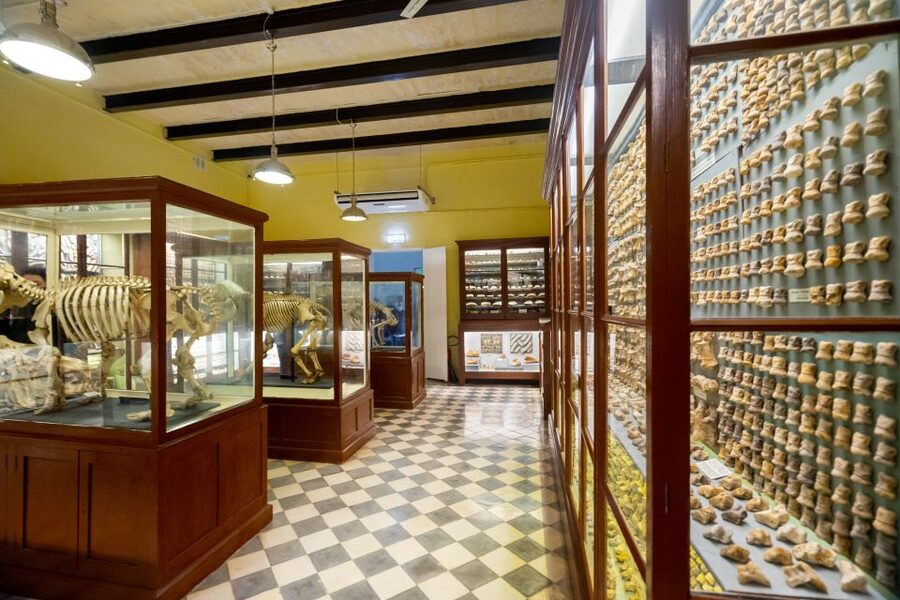 Prehistoric Temples of Malta Tour - How Much Walking and Heat Should You Plan For?