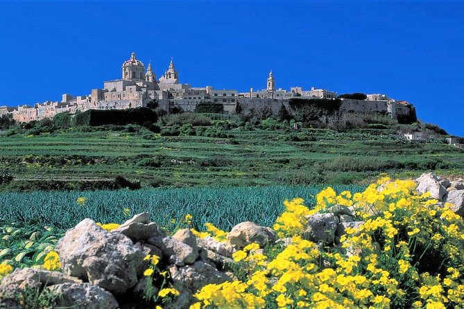 Private guided Malta shore excursion with a professional guide and transport - Private guided Valletta shore excursion: a smart way to beat port-time chaos