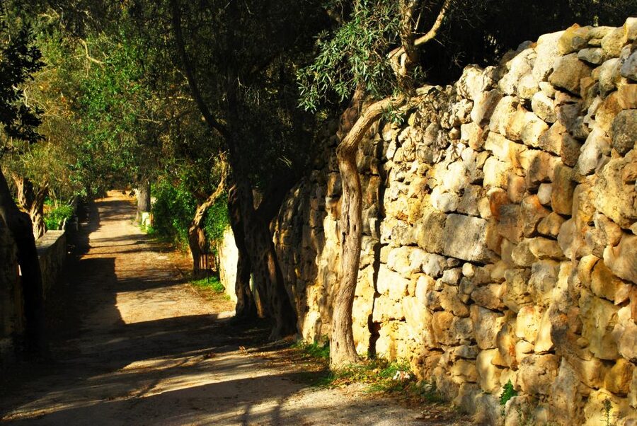 Scenic Tour by Vintage Bus to Buskett Garden & Dingli Cliffs - Key highlights at a glance