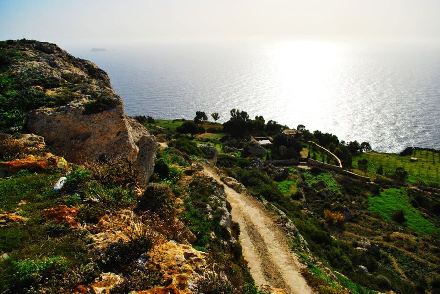 Scenic Tour by Vintage Bus to Buskett Garden & Dingli Cliffs - A 1928 vintage bus route built for maximum scenery