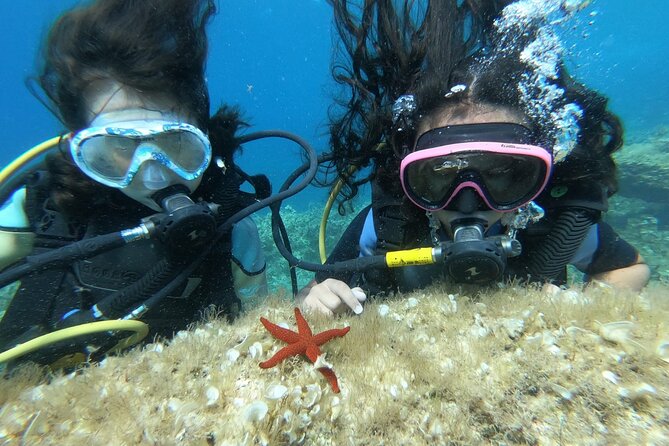 Scuba Diving Class in Mellieha - Key Things To Know Before You Book