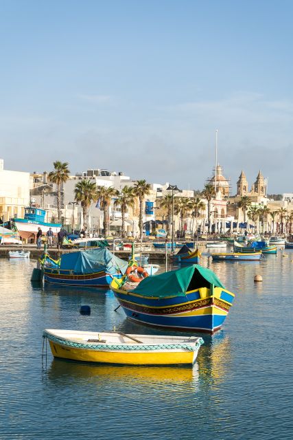Shore Excursion Tour - Half Day - Included vs Optional: Aquarium, Popeye, Lunch, and the Licensed Guide