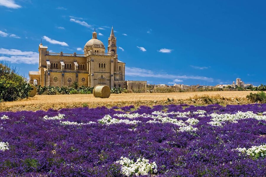 Sliema or St. Paul's Bay: Best of Gozo and Comino Day Trip - What’s Included, What You’ll Pay Extra For