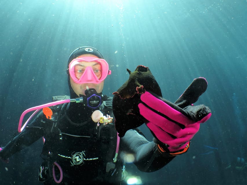 SSI Try Scuba Diving in the sea - What to bring, what not to do, and Malta in your hands