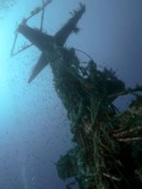 St Julians: Discover Scuba Diving Experience - Key Points I’d Tell a Friend
