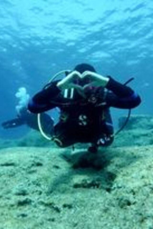St Julians: Discover Scuba Diving Experience - The Underwater Portion: Mediterranean Marine Life and Reefs