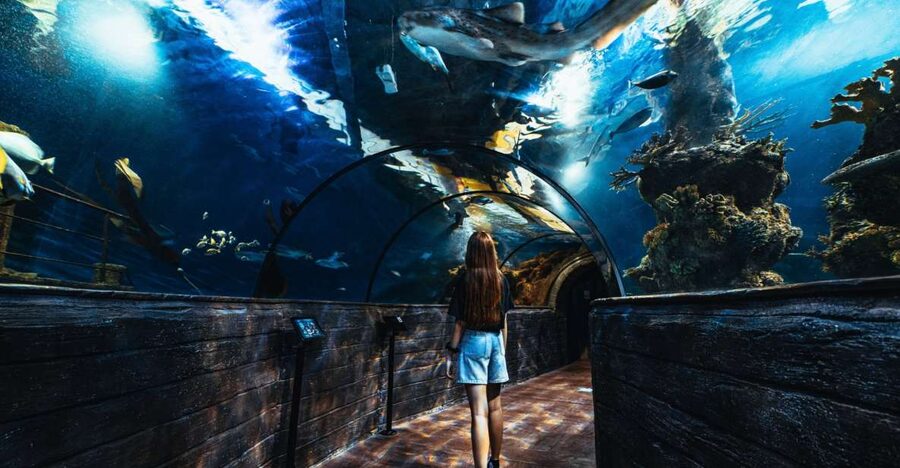 St Paul's Bay: Malta National Aquarium Entry Ticket - Malta-themed habitats: why the exhibits feel more meaningful