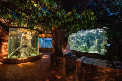 Malta National Aquarium Entry Ticket