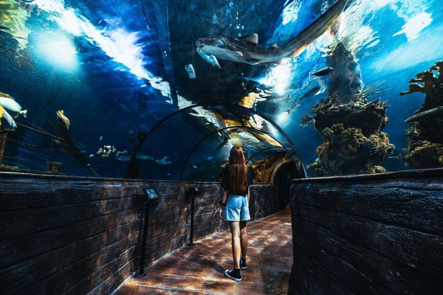 St Paul's Bay: Malta National Aquarium Entry Ticket - Price and value: is $20 reasonable for what you get?