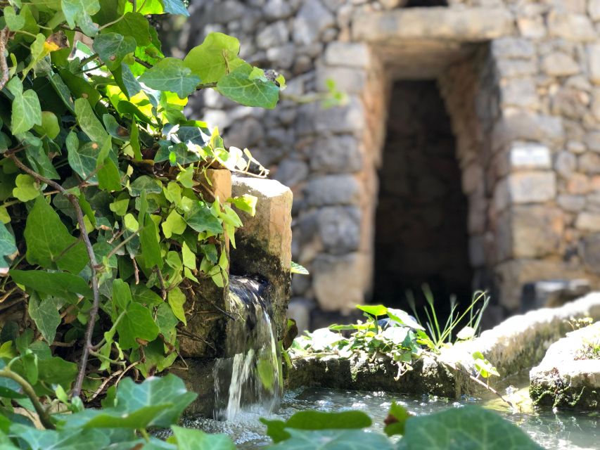 The Limestone Heritage Park and Gardens (Entry Ticket) - Key highlights worth planning around