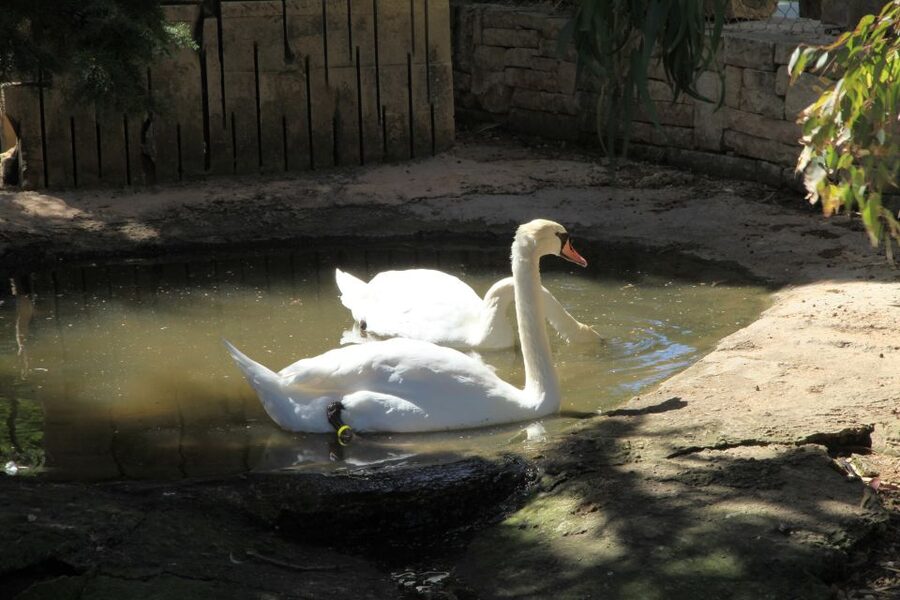 The Limestone Heritage Park and Gardens (Entry Ticket) - Who this is best for, and when you might skip it