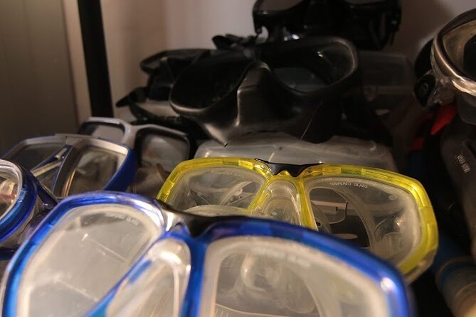 Two Morning Dives in Gozo for Certified Diver - Price and what $181.02 really covers for two morning sessions