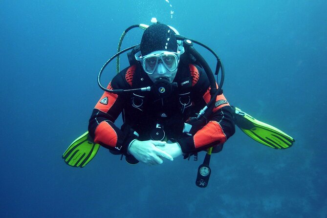 Two Morning Dives in Gozo for Certified Diver - What to bring: certification, a reasonable fitness level, and the computer or torch decision