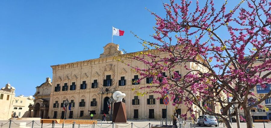 Valletta: City Walking Tour in a Small Group - Quick take: what makes this Valletta walk click