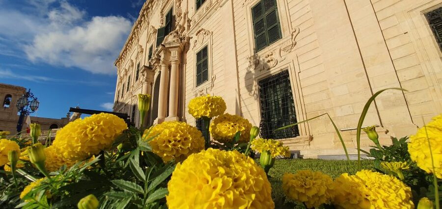 Valletta: City Walking Tour in a Small Group - Who should book this Valletta walking tour