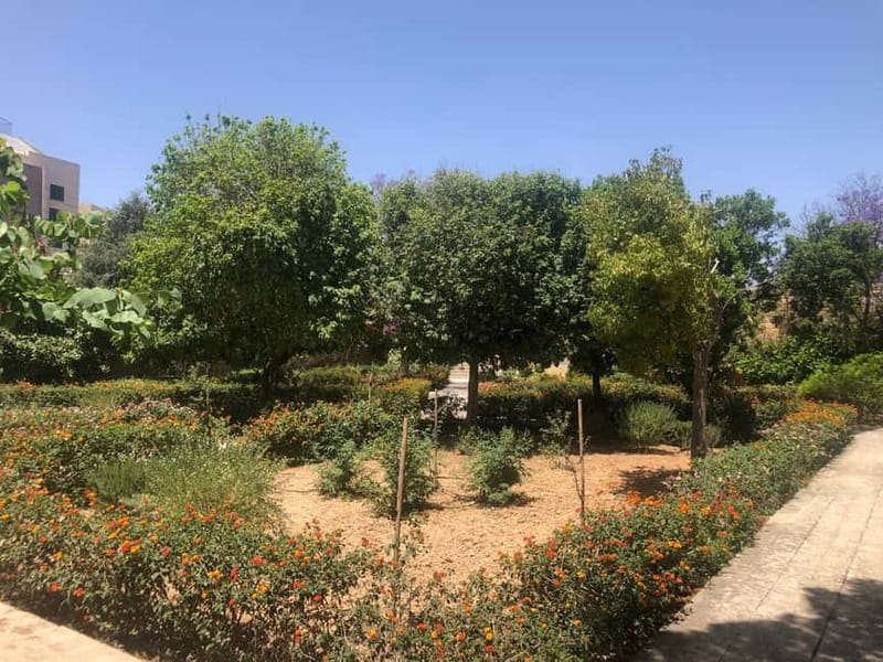Visit Tarxien Temples, Kalanka Bay, Blue Grotto, Marsaxlokk - Key things to know before you go